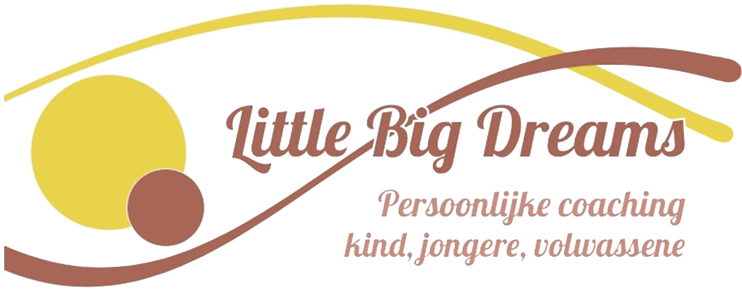 logo LittleBigDreams